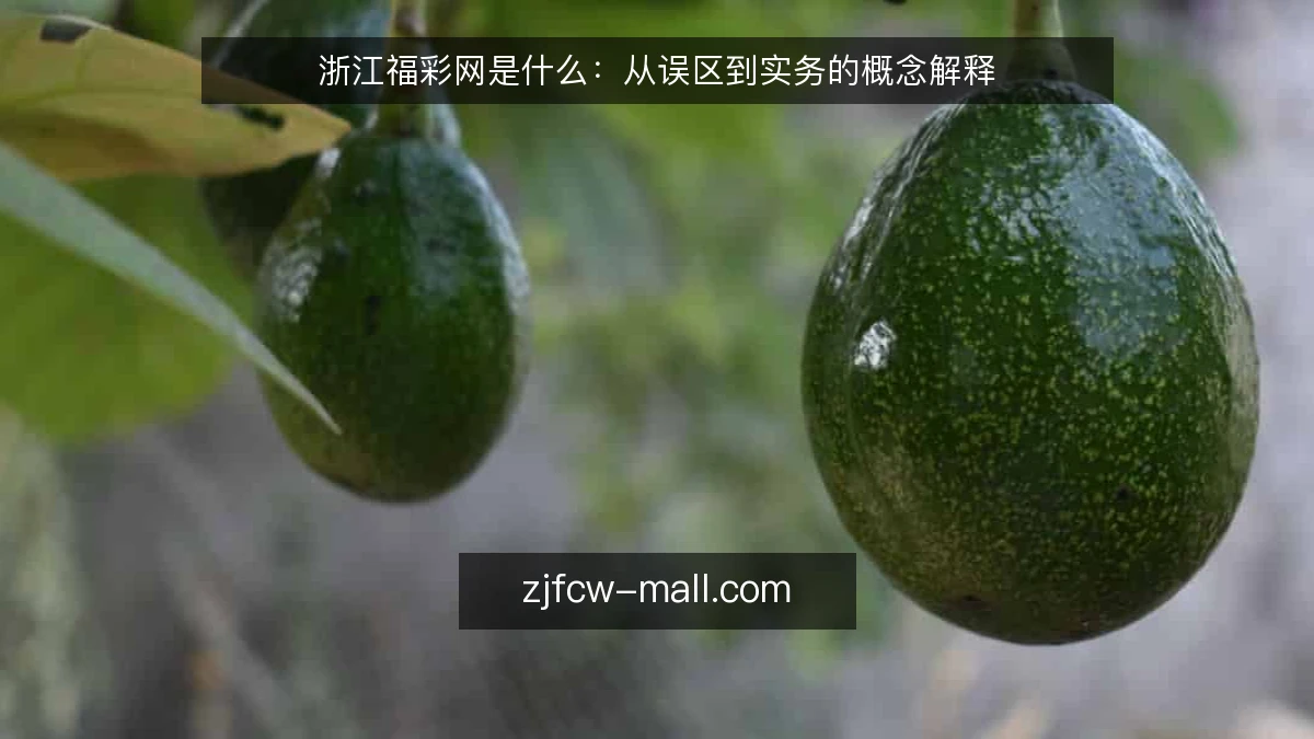 浙江福彩网是什么:从误区到实务的概念解释